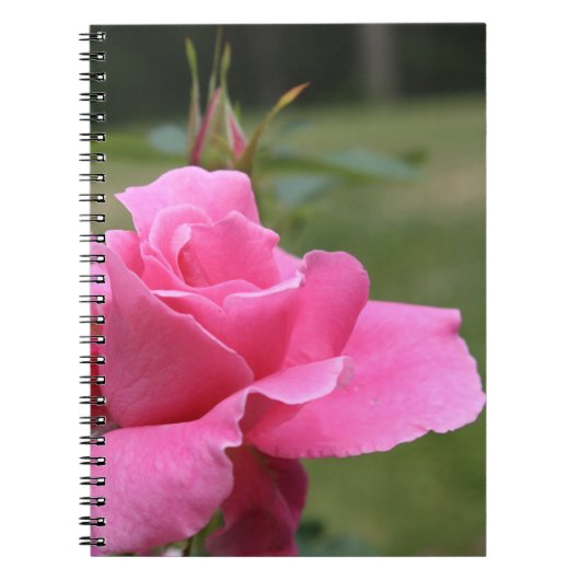 Rosa-Notizbuch Notizblock (Vorderseite)
