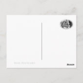 Rosa Novalis Postkarte (Rückseite)