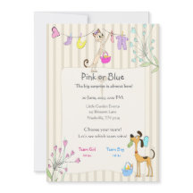 Rosa oder Blau Geschlecht Enthüllung Hund & Katze 