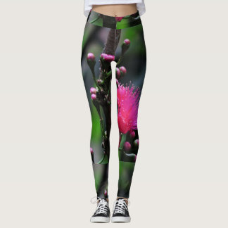 Rosa Ohia Leggings