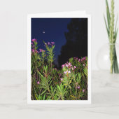 Rosa Oleander bei der Nachtkarte Karte (Vorderseite)