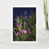 Rosa Oleander bei der Nachtkarte Karte (Vorderseite)