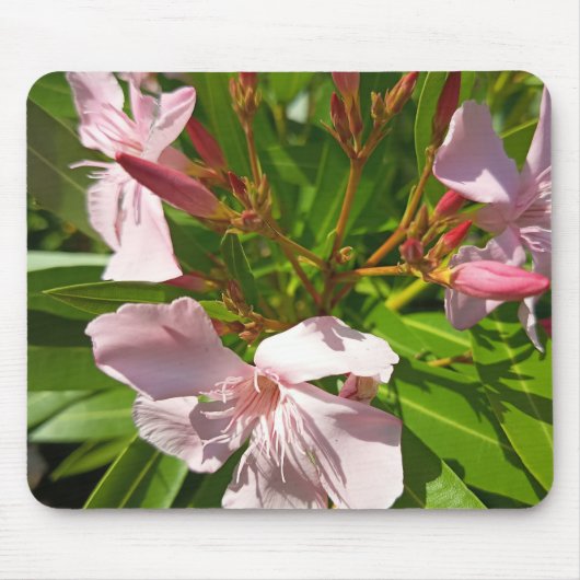 Rosa Oleander Blumen-Mauspad Botanischer Garten De Mousepad (Vorne)