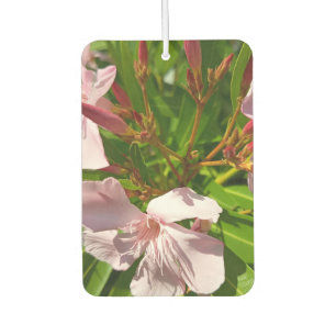 Rosa Oleander Blumiger Auto-Luftverbesserer Botani Autolufterfrischer