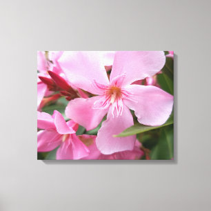 Rosa Oleander-Blüten-Leinwanddruck Botanische Bl Leinwanddruck