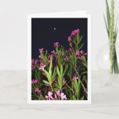 Rosa Oleander in der Nacht Karte (Vorderseite)