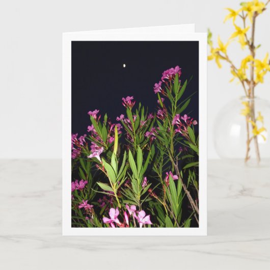 Rosa Oleander in der Nacht Karte (Gelbe Blume)
