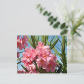 Rosa Oleander Postcard Postkarte (Stehend Vorderseite)