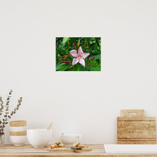 Rosa Oleander Poster (Küche)