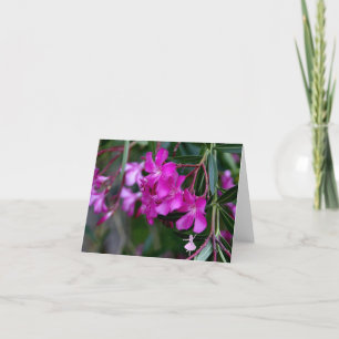 Rosa Oleander-Schatten-Fee Karte