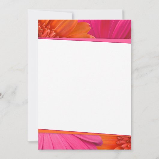 Rosa Orange Daisy Wedding Bridal Dusche Einladung (Rückseite)