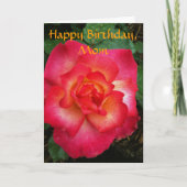 Rosa/orange Rose Karte (Vorderseite)