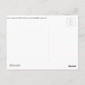 Rosa, orange und gelbe Farben Postkarte (Rückseite)