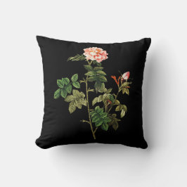 Rosa Orbessanea Throw Pillow Kissen