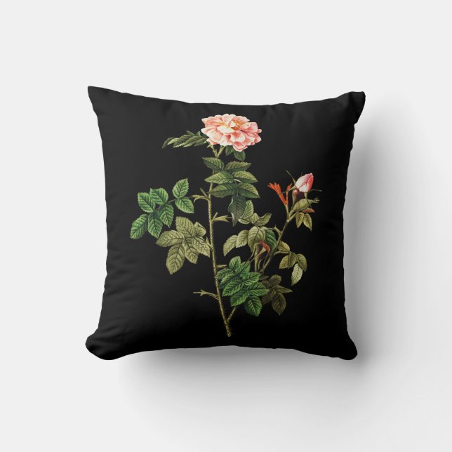 Rosa Orbessanea Throw Pillow Kissen (Vorderseite)