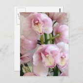 Rosa Orchiale Vertikale Postkarte (Vorne/Hinten)