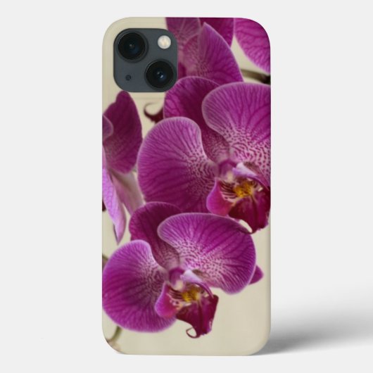 Rosa Orchid-Blume Case-Mate iPhone Hülle (Rückseite)