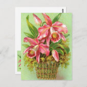Rosa Orchid-Blume Postkarte (Vorne/Hinten)