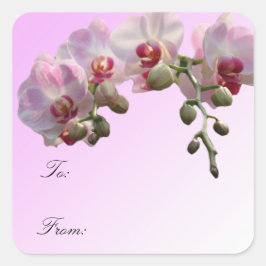 Rosa orchid Blume, Weihnachtsgeschenketiketten. Quadratischer Aufkleber