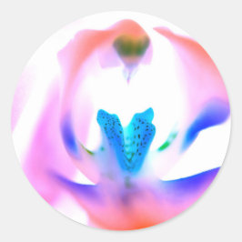 Rosa Orchid Classic Round Stickers