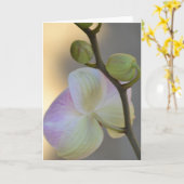 Rosa Orchid Expression Card Karte (Gelbe Blume)