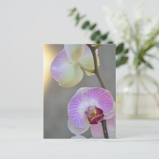 Rosa Orchid Expression Postcard Postkarte (Stehend Vorderseite)