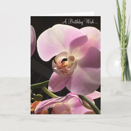 Rosa Orchid Happy Birthday Card Karte (Vorderseite)