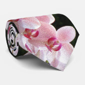 Rosa Orchid-Krawatte Krawatte (Gerollt)