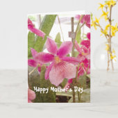 Rosa Orchid-Muttertagskarte Karte (Gelbe Blume)