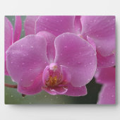 Rosa Orchid Plaque Fotoplatte (Vorderseite)