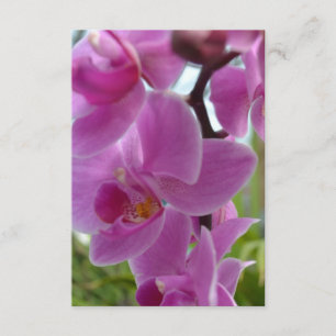 Rosa Orchid R.S.V.P. RSVP Karte