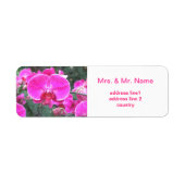 Rosa orchide Blume, Blumenfotografie (Vorne)