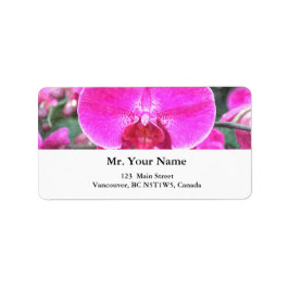 Rosa orchide Blume, Blumenfotografie Adressaufkleber