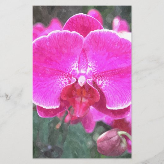 Rosa orchide Blume, Blumenfotografie Briefpapier (Vorderseite)
