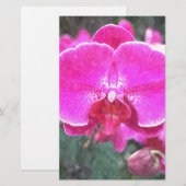 Rosa orchide Blume, Blumenfotografie Briefpapier (Vorne/Hinten)