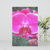 Rosa orchide Blume, Blumenfotografie Briefpapier (Stehend Vorderseite)