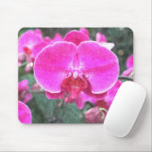 Rosa orchide Blume, Blumenfotografie Mousepad (Mit Mouse)