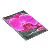 Rosa orchide Blume, Blumenfotografie Notizblock (Rechte Seite)