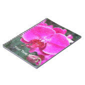 Rosa orchide Blume, Blumenfotografie Notizblock (Linke Seite)