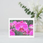 Rosa orchide Blume, Blumenfotografie Postkarte (Stehend Vorderseite)