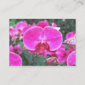 Rosa orchide Blume, Blumenfotografie Visitenkarte (Rückseite)