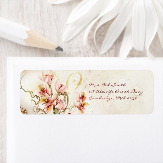 Rosa Orchidee (Insitu)