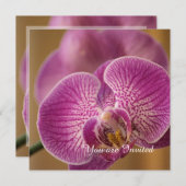 Rosa Orchidee Blume Geburtstag Einladung (Vorne/Hinten)