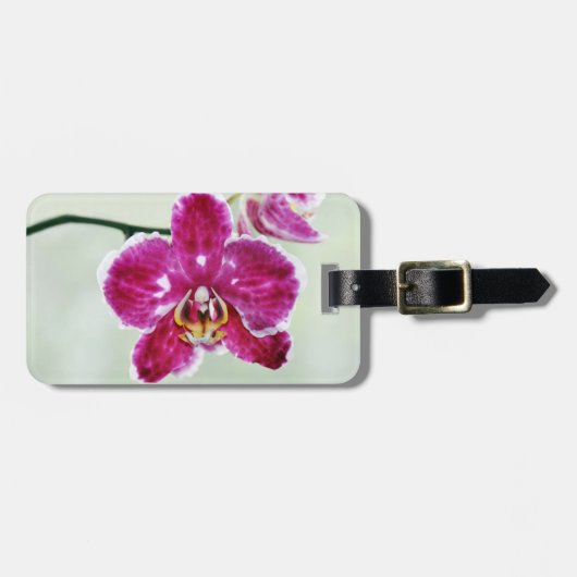 Rosa Orchidee Gepäckanhänger (Vorderseite horizontal)