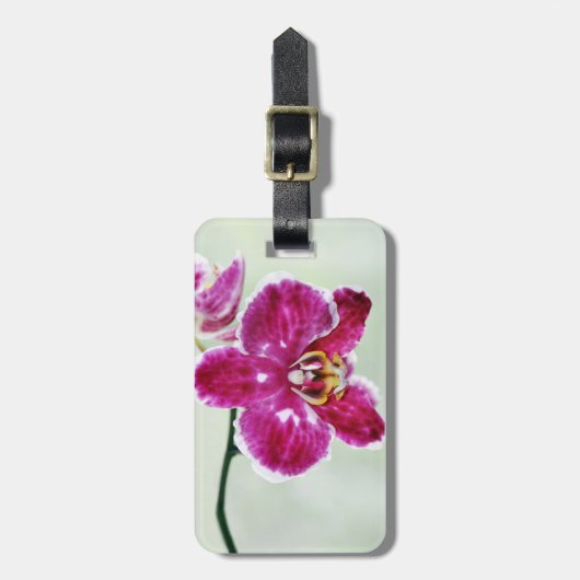 Rosa Orchidee Gepäckanhänger (Vorderseite vertikal)