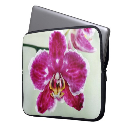 Rosa Orchidee Laptopschutzhülle (Vorderseite Links)