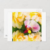 Rosa Orchidee mit Tennisball Postkarte (Vorne/Hinten)