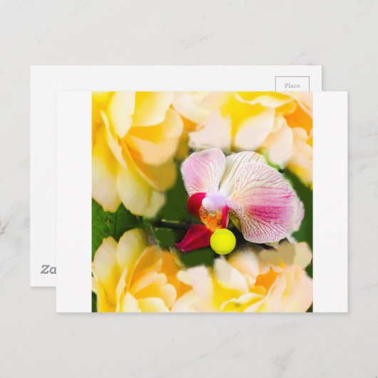 Rosa Orchidee mit Tennisball Postkarte (Vorne/Hinten)