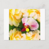 Rosa Orchidee mit Tennisball Postkarte (Vorderseite)