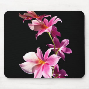 Rosa Orchidee Mousepad